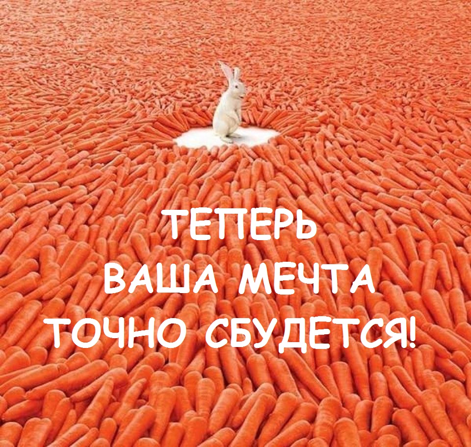 Заяц в окружении морковки