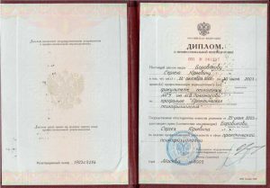 Диплом. МГУ, факультет психологии. Психофизиология. Боровиков Сергей Юрьевич. 2003