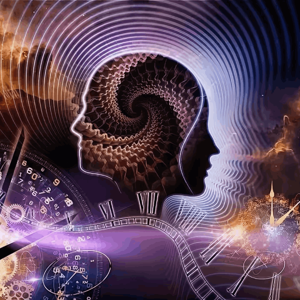 Вселенная индивидуальности — путь к реальной реальности