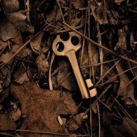 Искусство общения - программа подготовки. Школа общения Без правил. Автор и ведущий - психолог Боровиков Сергей Юрьевич